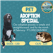 Pet Adoption February
