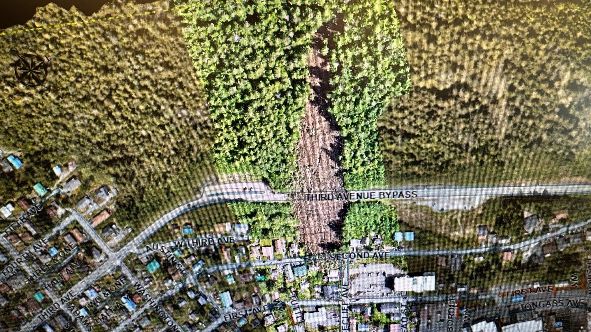 Slide Image for Survey Monkey