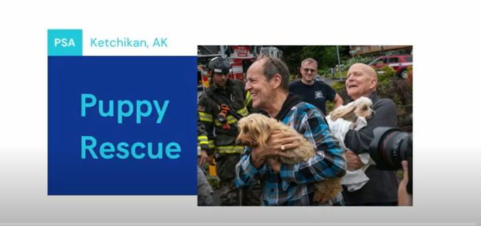 Pup rescue cover image